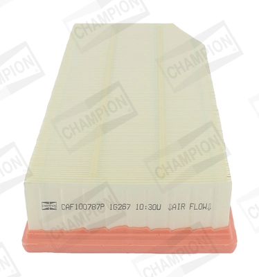 Air Filter CAF100787P