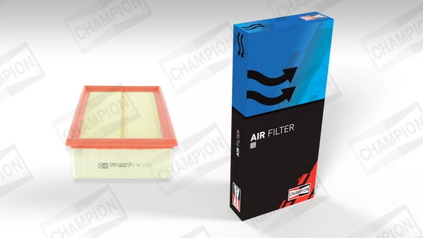 Luftfilter CAF100971P