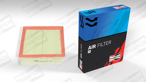 Air Filter CAF100955P