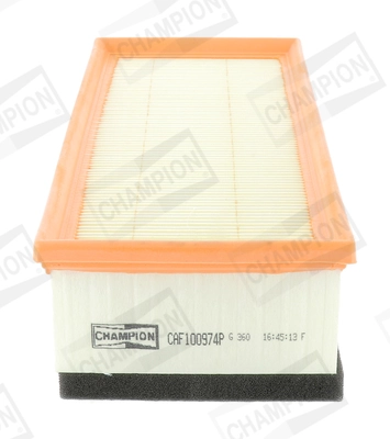 Air Filter CAF100974P