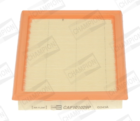 Air Filter CAF101029P