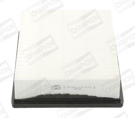 Air Filter CAF100793P