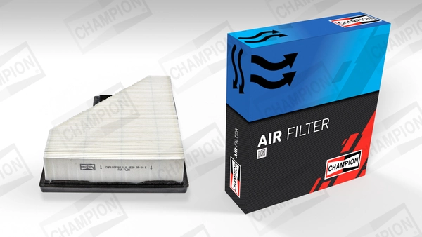 Air Filter CAF100876P