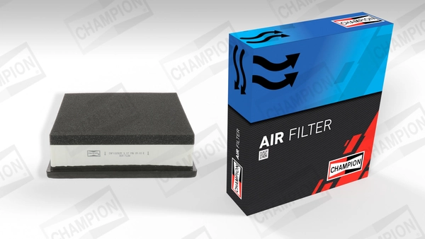 Air Filter CAF100767P