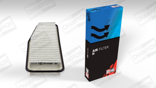 Air Filter CAF100768P