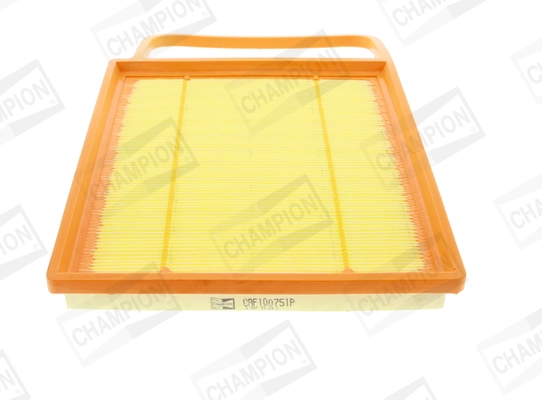 Air Filter CAF100751P