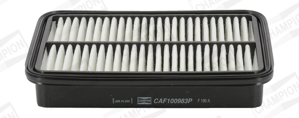 Air Filter CAF100983P