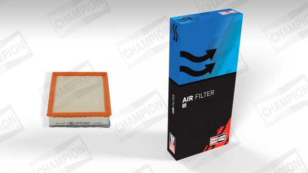 Air Filter CAF101063P