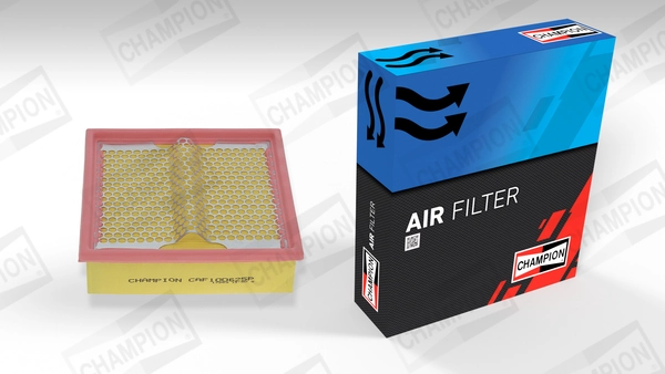 Air Filter CAF100625P
