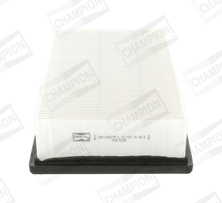 Air Filter CAF100527P