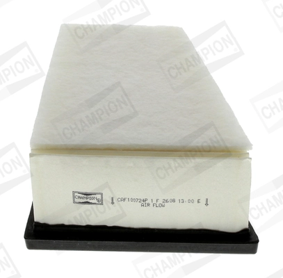 Air Filter CAF100724P