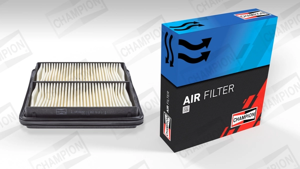 Air Filter CAF100646P
