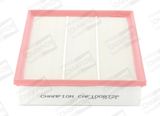 Air Filter CAF100872P