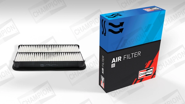 Air Filter CAF100565P