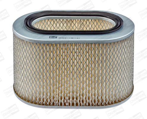 Air Filter CAF100419C