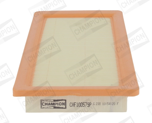 Air Filter CAF100579P