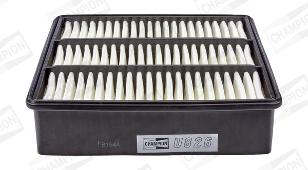 Air Filter CAF100826P