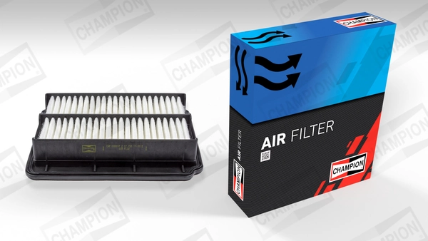Air Filter CAF100801P