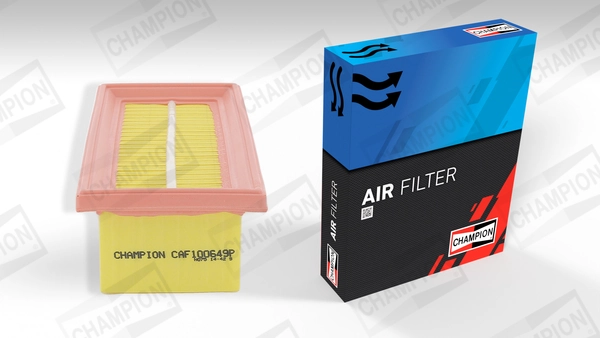 Air Filter CAF100649P
