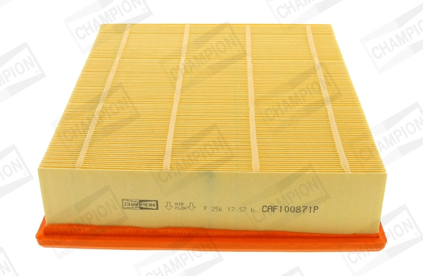 Air Filter CAF100871P