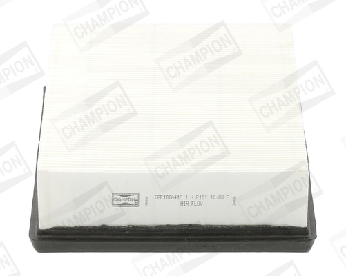 Air Filter CAF100641P
