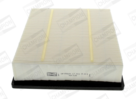 Air Filter CAF100567P