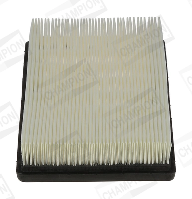 Air Filter CAF100961P