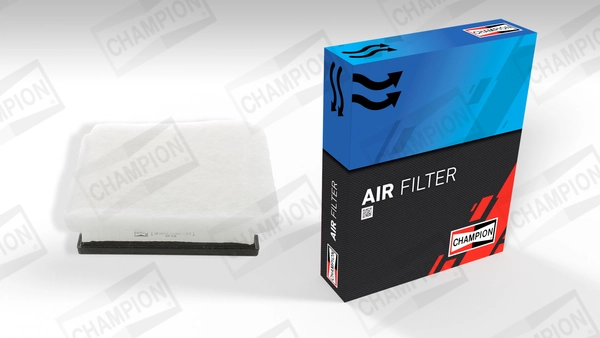 Air Filter CAF100794P