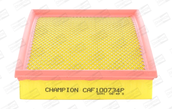 Air Filter CAF100734P