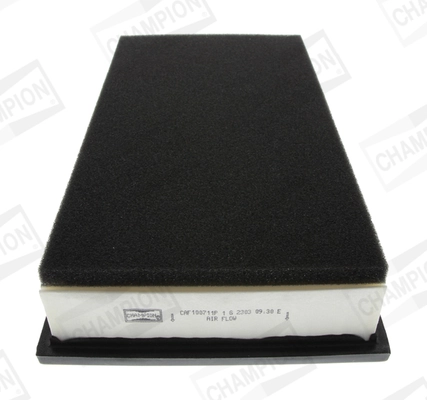 Air Filter CAF100711P