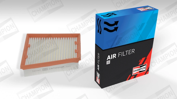 Air Filter CAF101012P