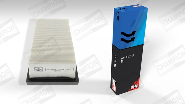 Air Filter CAF100508P