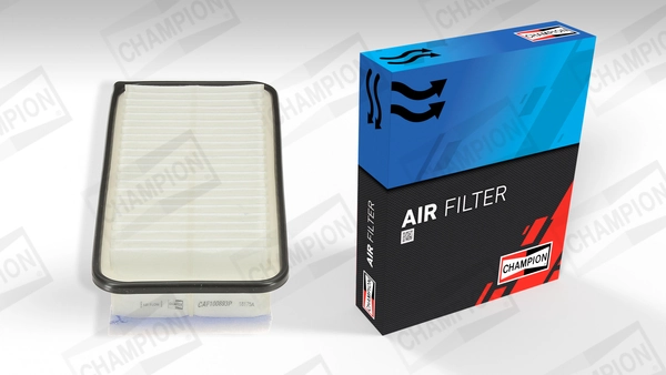 Air Filter CAF100893P