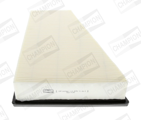 Air Filter CAF100706P