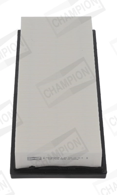 Air Filter CAF101257P