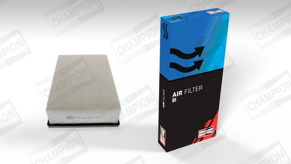 Air Filter CAF100754P