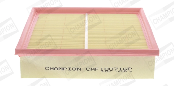 Air Filter CAF100716P