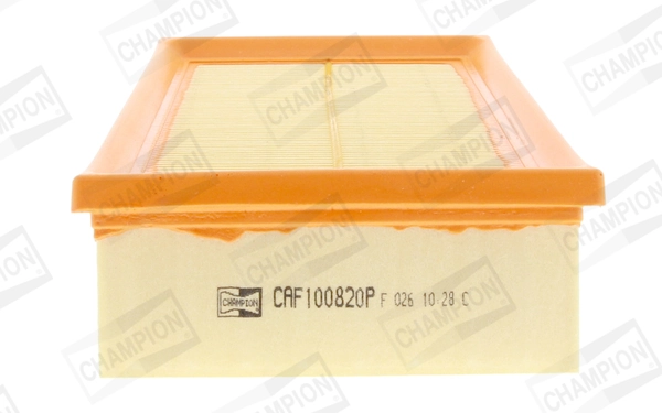 Air Filter CAF100820P