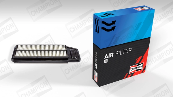 Air Filter CAF100845P