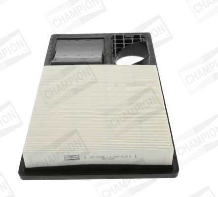 Air Filter CAF100748P