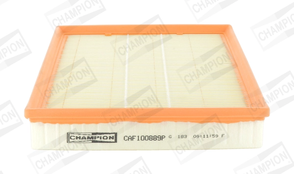 Air Filter CAF100889P