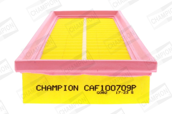 Air Filter CAF100709P