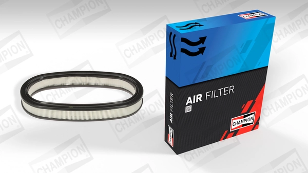 Air Filter CAF100225R