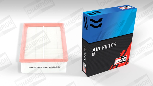 Air Filter CAF100830P
