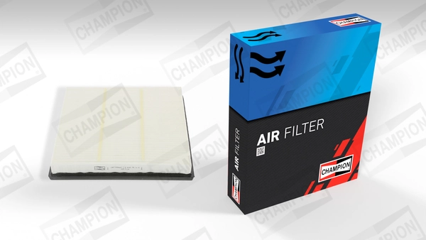 Air Filter CAF100986P