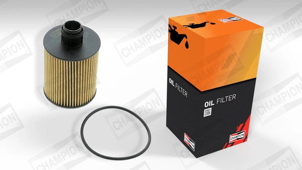 Oil Filter Ecological COF100600E