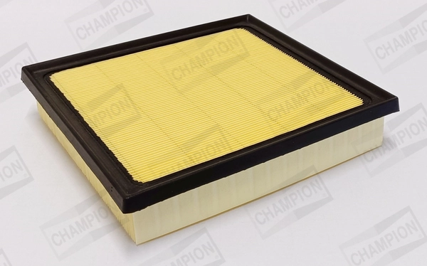 Air Filter CAF101221P