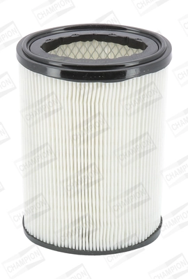 Air Filter CAF100414C