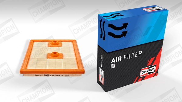 Air Filter CAF101067P