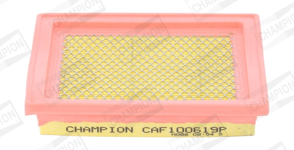Air Filter CAF100619P